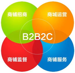 一起了解夢行B2B2C系統