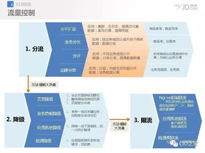 京東應用架構設計與治理