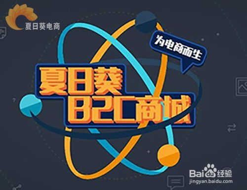 B2C商城系統憑這四大優點取勝