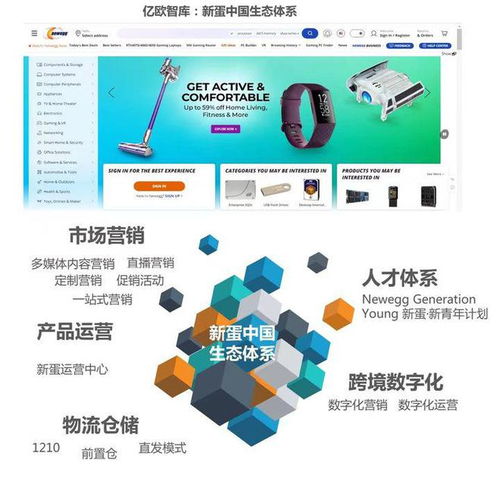 新蛋受邀參與校園培訓講座 攜手高校打造中國跨境人才培訓體系