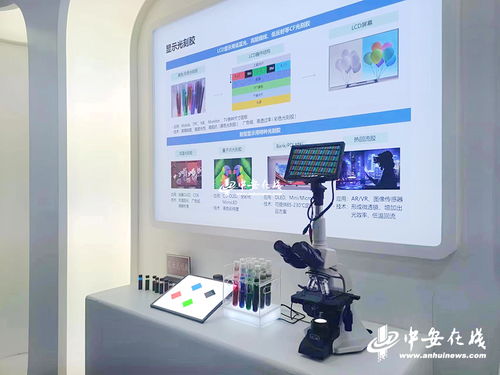 阜陽 一心一意謀發展 開足馬力譜新篇