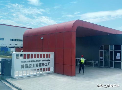 買特斯拉準備500萬 到底是什么體驗