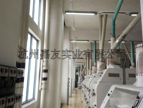 河南面粉廠加濕設備大型車間加濕系統提高生產質量