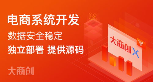 搭建新零售商城系統有哪些步驟