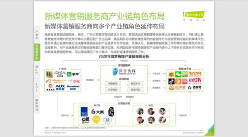 2020中國新媒體營銷策略白皮書 